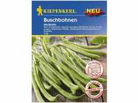 Kiepenkerl Buschbohne Modesto Phaseolus vulgaris, Inhalt: 6 Ifd. Meter