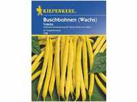 Kiepenkerl Buschbohne Voletta Phaseolus vulgaris var. nanus, Inhalt: ca. 8-10 lfd.