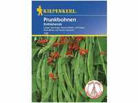 Kiepenkerl Prunkbohne Rotblühende Phaseolus coccineus, Inhalt: 6-8 lfd. Meter