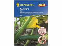 Kiepenkerl Zucchini Quine Cucurbita pepo, Inhalt: 6 Korn