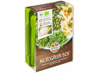 Sperli Bio Microgreen Box Anzuchtset 4 Pads