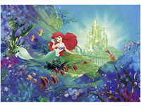 Komar Fototapete Ariel`s Castle 368 x 254 cm
