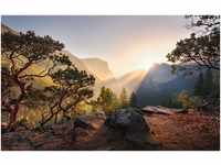 Komar Vlies Fototapete Yosemites Secret 450 x 280 cm