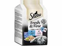 Sheba Fresh & Fine in Gelee mit Thunfisch & Lachs Katzenfutter 6 x 50 g