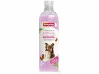 Beaphar Entfilzungs-Shampoo für Hunde 250 ml