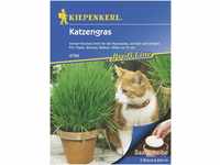 Kiepenkerl Katzengras Saatscheibe Inhalt reicht für 5 Saatscheiben