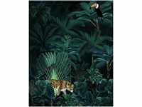 Komar Vlies Fototapete Jungle 200 x 250 cm
