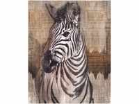 Komar Vlies Fototapete Zebra 200 x 250 cm