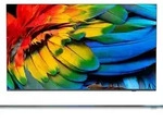 Philips 65HFL6214U/12 Fernseher 165,1 cm (65") 4K Ultra HD WLAN Anthrazit
