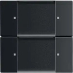 Busch-Jaeger Wandsender 6736/01-885 2CKA006730A0125