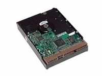 HP Festplatte 1 TB intern 3.5" SATA 6Gb/s 7200 rpm Puffer: 32 MB