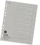 Falken 80001696 100x Trennbl&auml;tter, 24 x 30cm, 230g/m2, durchgef&auml;rbt, 100er...