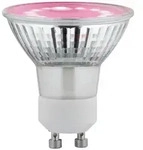 Paulmann Grow Green Edition Filament 230V LED Reflektor GU1095lm 3,5W