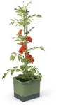 Gusta Garden Tom Tomato Drau&szlig;en Topfpflanzer Freistehend Polypropylen (PP),