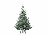 Evergreen Weihnachtsbaum Nobilis Kiefer 180 cm
