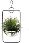 DanDiBo Blumenampel Innen Metall Wand H&auml;ngepflanzen 54 cm 96083 M mit Topf Silber