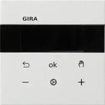 Gira RTR Display 5393112