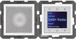 Berker Radio mit Lautspr. DAB+ S. 29808989