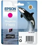 Tinten EPSON C13T76034010 EPSON SCP600 TINTE MAGENTA