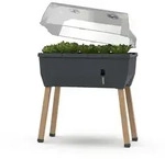 Gusta Garden Sammy Salad Drinnen/Drau&szlig;en Topfpflanzer Freistehend Polypropylen...