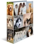 Herma 7165 7165 Motivordner Hund A4 70 mm