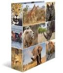 Herma 7168 Motivordner Tiere Afrika - A4, 70 mm