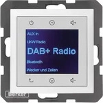 Berker Radio DAB+ S1/B..x pw. mat 29849909