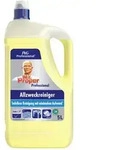 Mr. Proper Professional Allzweckreiniger, fl&uuml;ssig, Zitrus, 5 L