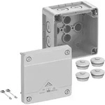 Spelsberg Abzweigkasten Abox Pro 025-L 40240001