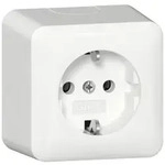Gira SCHUKO-Steckd.+Montagepl. 444013
