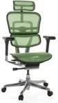 B&uuml;rostuhl / Chefsessel ERGOHUMAN GEN2 Netzstoff gr&uuml;n hjh OFFICE