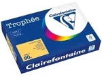 Clairefontaine Kopierpapier 1780PC A4 80g goldgelb 500 Blatt