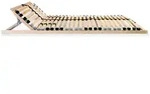 vidaXL Lattenrost mit 28 Latten 7 Zonen 100 x 200 cm
