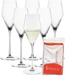 Spiegelau Definition Champagnerglas 250 ml 6er Set + Poliertuch