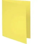 Exacompta 100er Packung Aktendeckeln aus Recycling Karton 220g Forever, 24x32cm