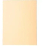 Exacompta 100er Packung Aktendeckeln aus Recycling Karton 220g Forever, 24x32cm
