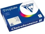 Clairefontaine Kopierpapier 1788PC A4 80g grau 500 Blatt
