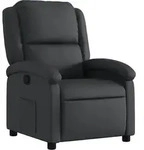 vidaXL Relaxsessel Schwarz Echtleder
