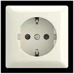 Busch-Jaeger SCHUKO Steckdose AP 20 EAPBJ-522 2TKA00005528