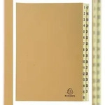 Exacompta 22219E Ordnungsmappe mit 31 F&auml;chern von 1-31 Kraft, f&uuml;r DIN A4 -...
