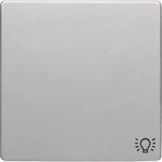 Berker Wippe alu/lack 16206044