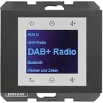 Berker Radio DAB+, Bt., K.x anth. 30847006