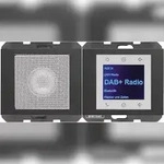 Berker Radio mit Lautspr. DAB+ K. 29807006