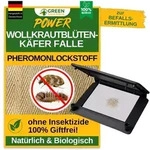 Green Guardia Wollkrautbl&uuml;tenk&auml;fer Falle mit Pheromon-Lockstoff: 1