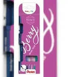 Pentel Faserschreiberetui Brush Sign Pen 4er Set SES15, variabel, sortiert