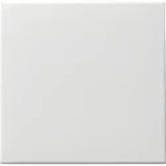 Gira Wippschalter rws-matt 091627