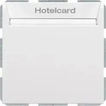 Berker Relais-Schalter Hotelcard 16409909