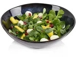 S&Auml;NGER Salatschale Tokio