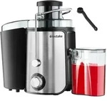 tectake Entsafter Frufi, 2 Geschwindigkeitsstufen, Edelstahl, 600W Silber