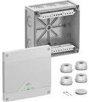 Spelsberg Abzweigkasten Abox 160-162 81642001